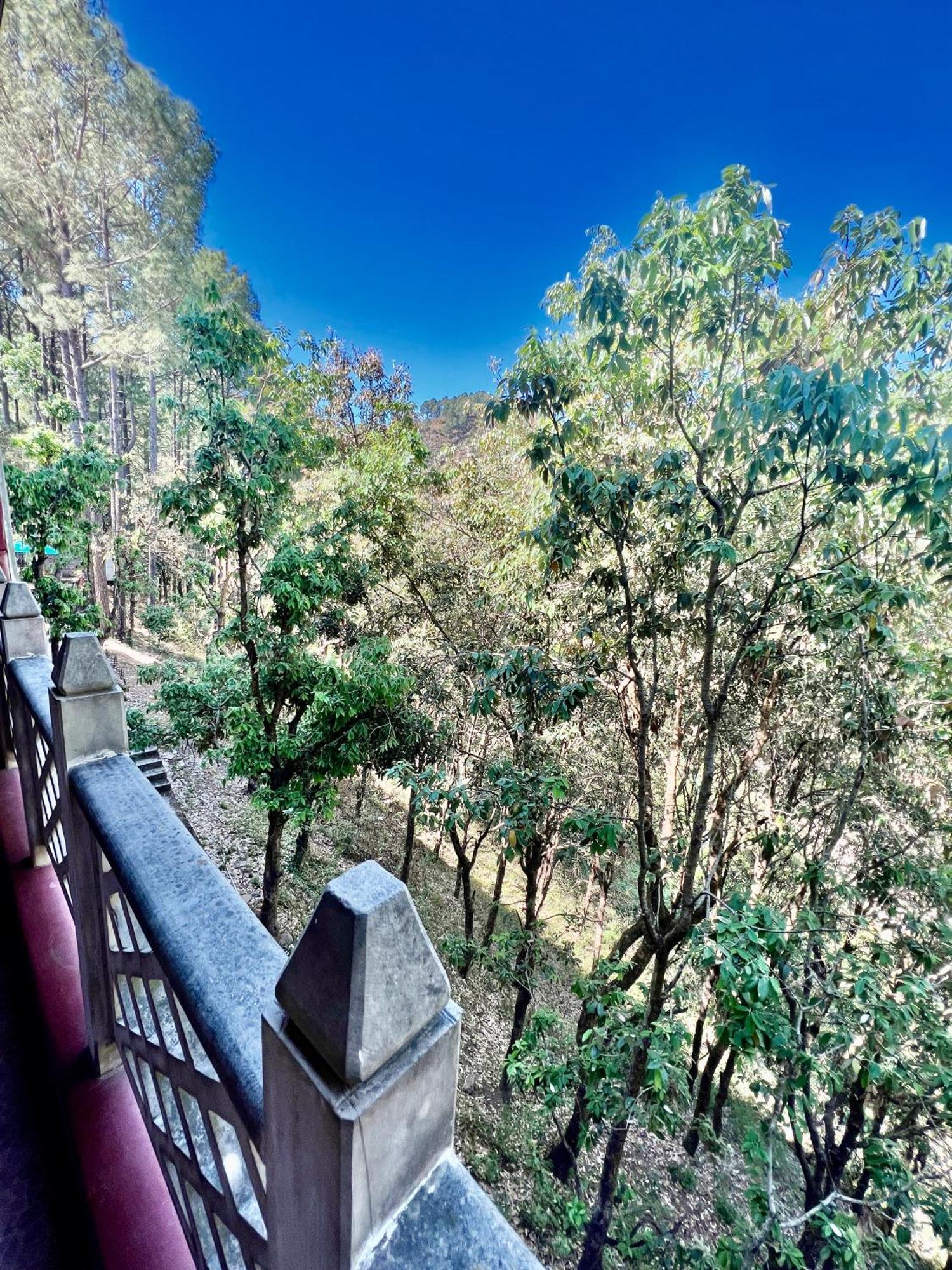 Sea Hawk - Luxury Hill Resort 4 Mins From Bhimtal Lake Bhīm Tāl Exterior foto
